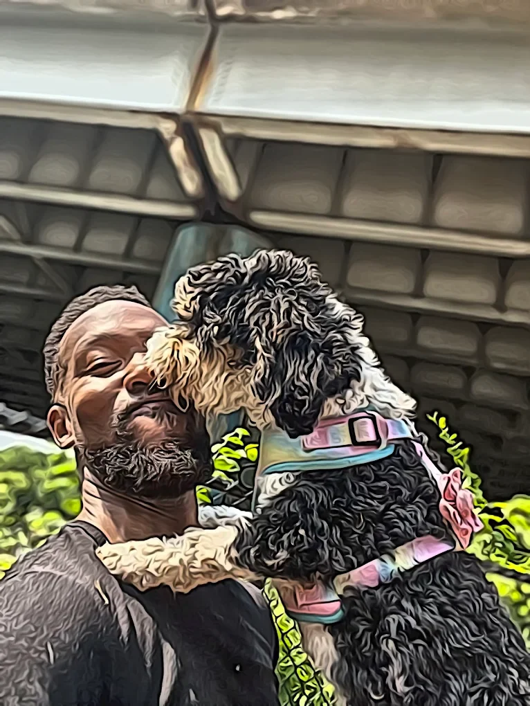 Paw'Ciergedogwalking
